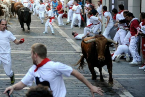 В іспанії, спроба людини зробити самостійно з биком стало смертельним В іспанії, спроба людини зробити самостійно з биком стало смертельним